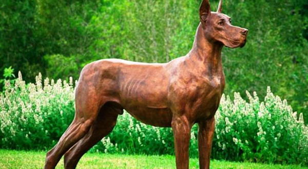 Khám Phá Những Giống Chó Nguy Hiểm Nhất Hành Tinh Khám Phá Những Giống Chó Nguy Hiểm Nhất Hành Tinh