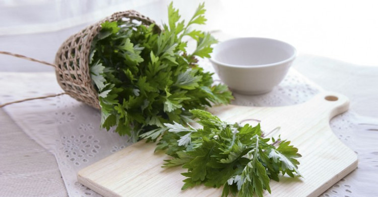 Ngải cứu còn được nhiều phụ nữ sử dụng trong việc làm đẹp.