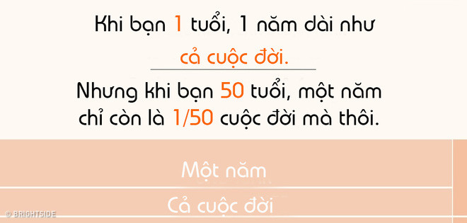 Thời gian chỉ còn là 2% cuộc đời khi bạn 50 tuổi. Thời gian chỉ còn là 2% cuộc đời khi bạn 50 tuổi.
