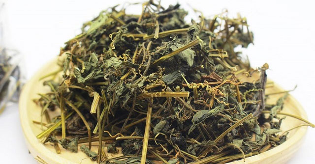 Tìm Hiểu Về Giảo Cổ Lam – Thảo Dược Quý Giúp Cải Thiện Sức Khỏe