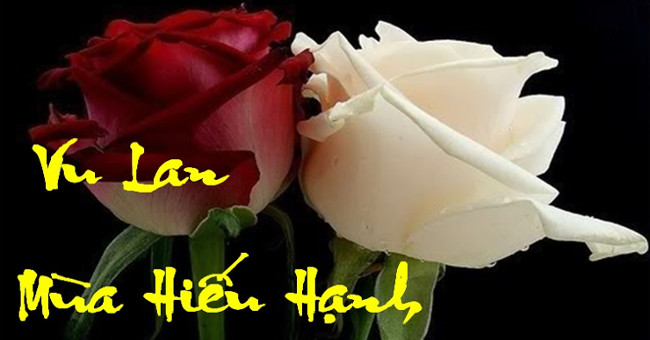 Ý Nghĩa Đặc Biệt Của Lễ Vu Lan Trong Văn Hóa Việt Nam