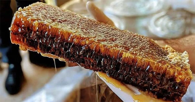 Khám Phá Loại Mật Ong Đắt Nhất Thế Giới Từ Núi Non Thổ Nhĩ Kỳ