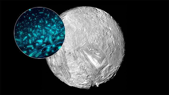 Dữ liệu từ tàu NASA cho thấy Miranda có thể hiện hữu một đại dương bên trong