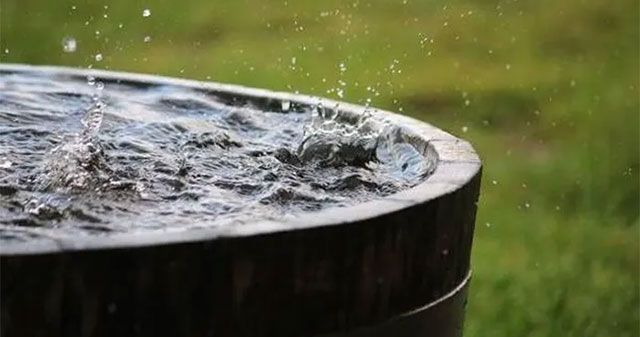 Nước Mưa: Nguy Cơ Tiềm Ẩn Và Lời Khuyên An Toàn Người Dùng
