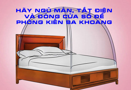 Hãy ngủ màn, tắt điện, đóng cửa sổ để phòng kiến ba khoang Hãy ngủ màn, tắt điện, đóng cửa sổ để phòng kiến ba khoang