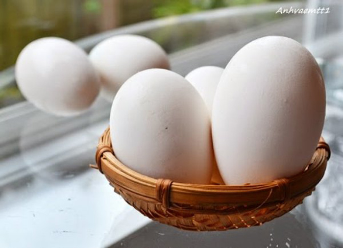 Trứng gà và trứng ngỗng