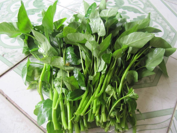 Nên tránh ăn rau muống sống Nên tránh ăn rau muống sống