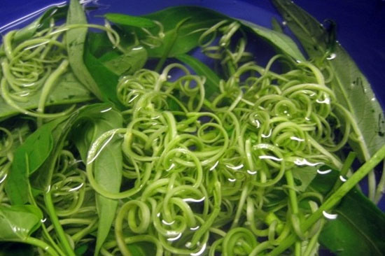 Ăn rau muống cần thận trọng để tránh ngộ độc Ăn rau muống: Những điều cần hết sức lưu ý