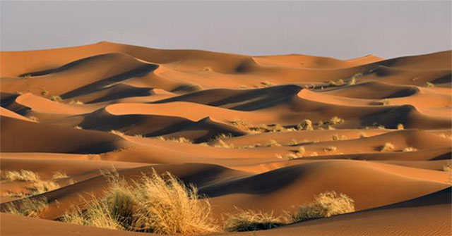 Khám Phá Bí Ẩn Độ Sâu Của Sa Mạc Sahara Qua Công Nghệ Radar