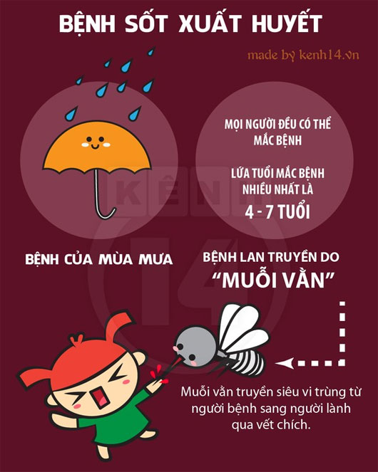 Ngăn chặn bệnh sốt xuất huyết hiệu quả Ngăn chặn bệnh sốt xuất huyết hiệu quả