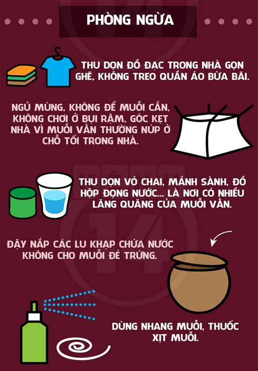 Giải pháp phòng ngừa sốt xuất huyết Giải pháp phòng ngừa sốt xuất huyết