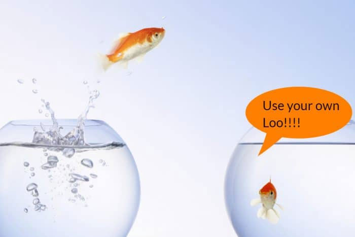 Hầu hết các loài cá 'đi nhẹ' bằng lỗ tiểu hoặc mang.