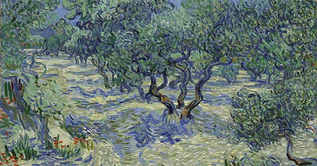 Phát hiện bất ngờ: mảnh xác côn trùng ẩn trong tranh ‘Những cây ô-liu’ của Van Gogh
