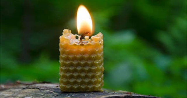 9 Phương Pháp Tự Nhiên Để Làm Sạch Không Khí Trong Gia Đình