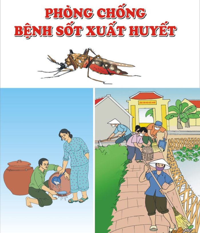 Cách phòng ngừa muỗi sinh sản trong nhà.